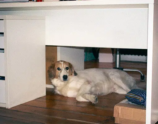 ioadv-studio-small01-06